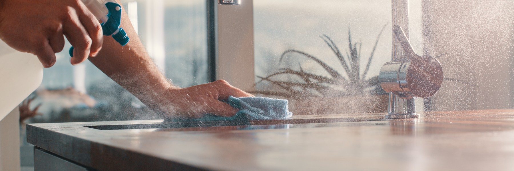 Cleaning services in Garland, TX
