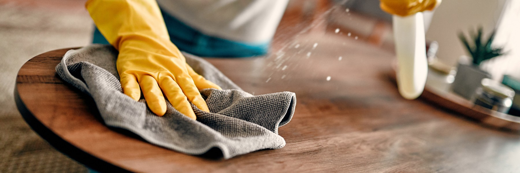 Cleaning services in Garland, TX